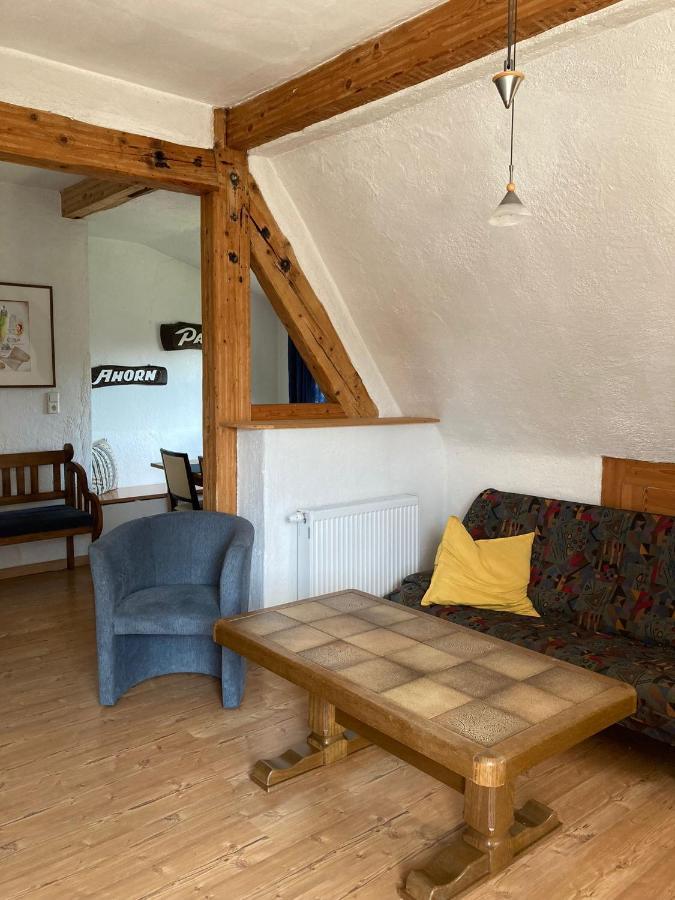 Apartmán Dorfschule Mollseifen Winterberg Exteriér fotografie